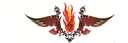 Al Pheniq Trading & Repairing & Fixing Safety Equipment LLC