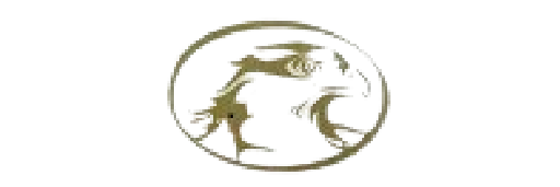 Island Falcon Trading (IFTCO)