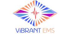 Vibrant Electromechanical Services L.L.C