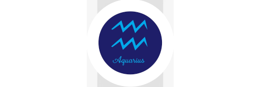 Aquarius Contracting L.L.C