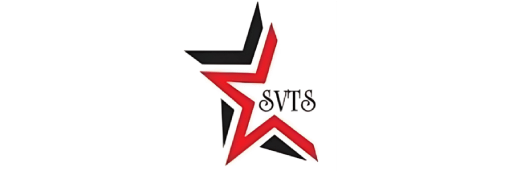 Star View Technical Services L.L.C