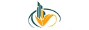 Green Light Building Contracting L.L.C