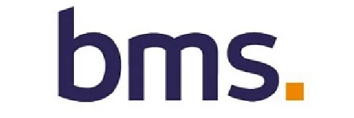 Berns Brett Masaood Insurance L.L.C