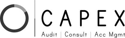 CAPEX auditing & accounting