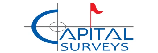 Capital Surveys
