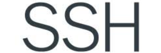 SSH International Engineering Consultants L.L.C - Dubai Br