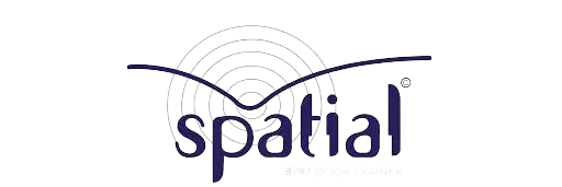 Spatial Composite Solutions FZ L.L.C