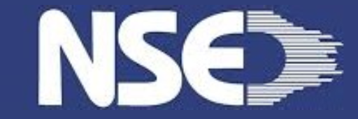 New System Engineering LLC (NSE)